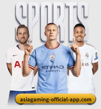 五大服务分区,信息按项目分类（ag）