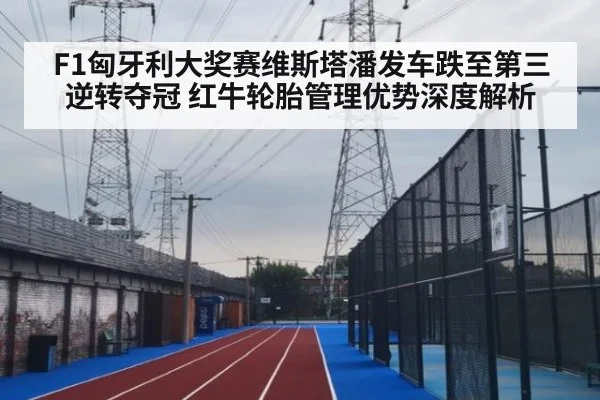 F1匈牙利大奖赛维斯塔潘发车跌至第三逆转夺冠 红牛轮胎管理优势深度解析 - ag