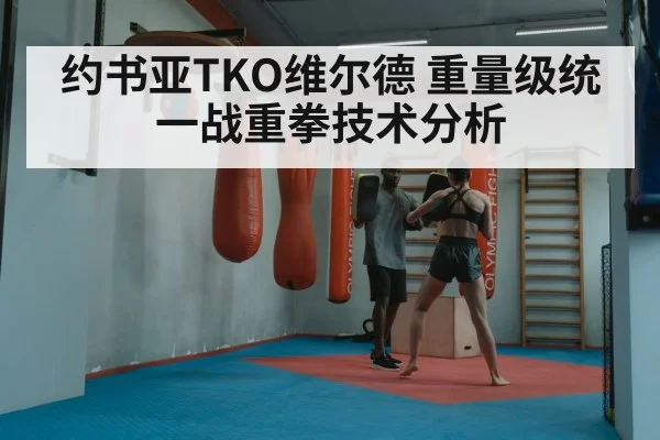 约书亚TKO维尔德 重量级统一战重拳技术分析