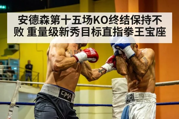 安德森第十五场KO终结保持不败 重量级新秀目标直指拳王宝座