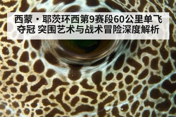 西蒙·耶茨环西第9赛段60公里单飞夺冠 突围艺术与战术冒险深度解析