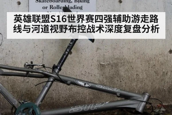 英雄联盟S16世界赛四强辅助游走路线与河道视野布控战术深度复盘分析 - ag